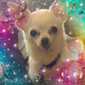 Meet your Posher, Robyn